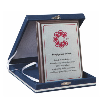 Ekonomik Plaket 2