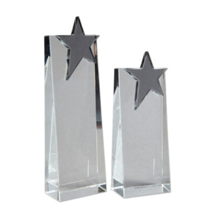 Kristal Plaket 113